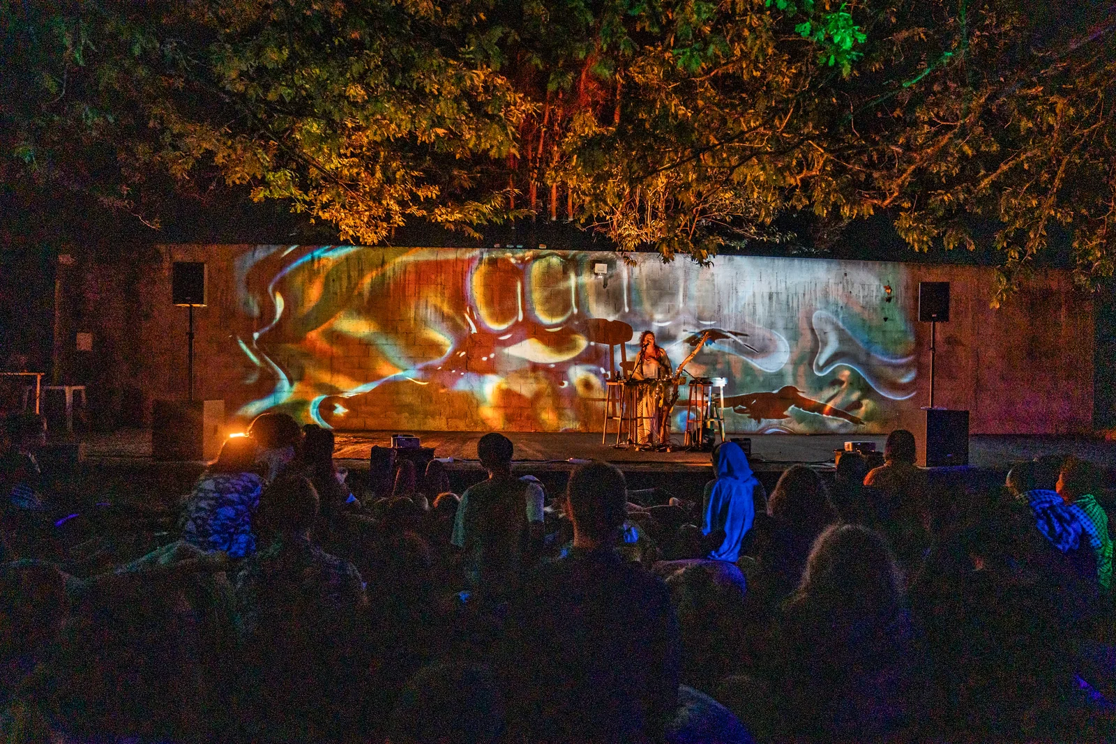 The audience at Synesthesia Festival before the projected wall